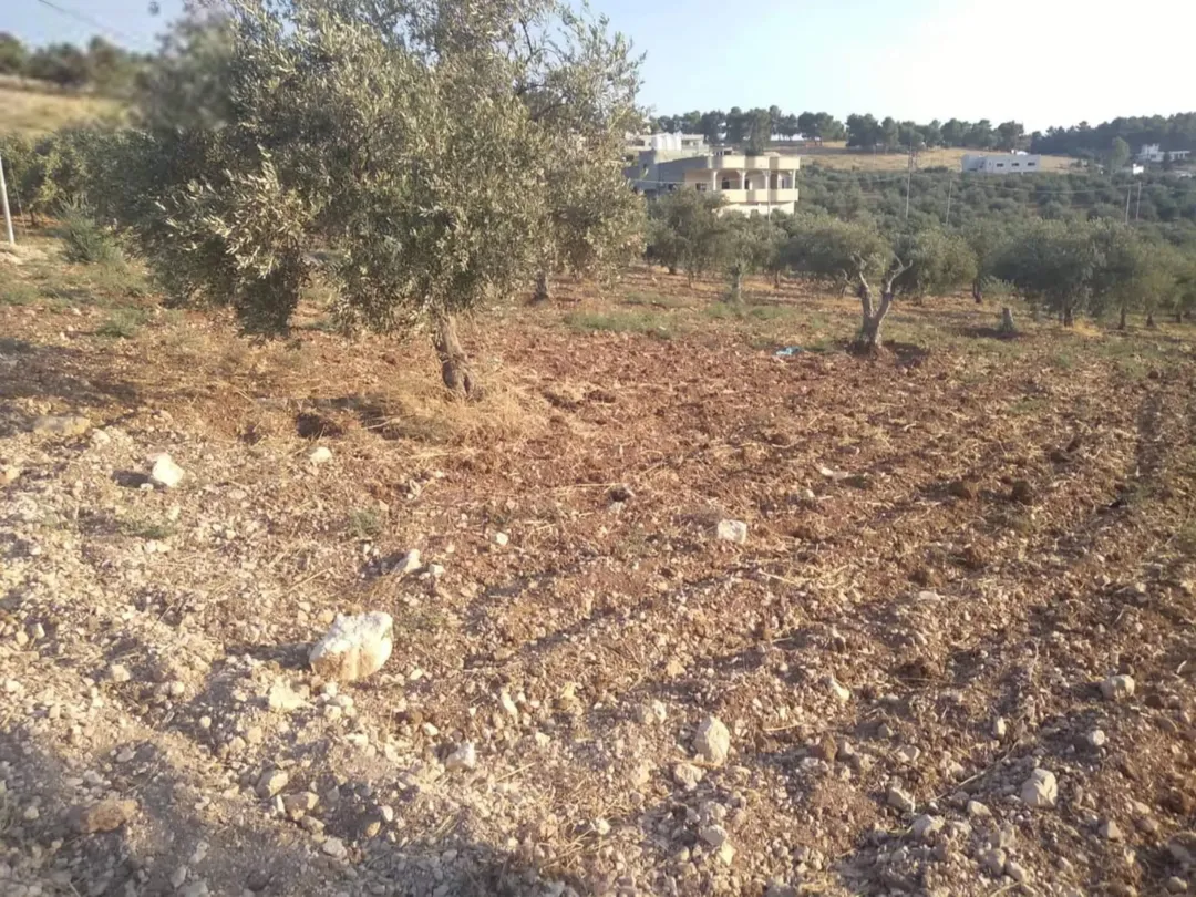 أراضي مميزة للبيع في محافظة جرش بمواقع استراتيجية وإطلالات ساحرة
