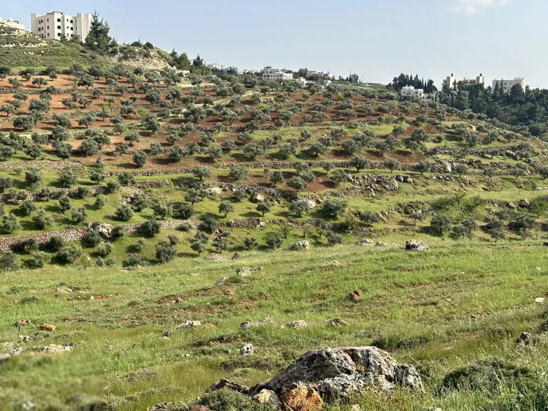 ارض مميزة في غرب عمان مرج الحمام المشبك 685 مترًا مربعًا