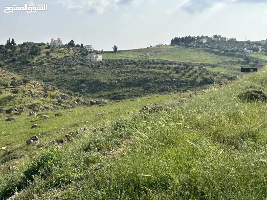 ارض مميزة في غرب عمان مرج الحمام المشبك 685 مترًا مربعًا