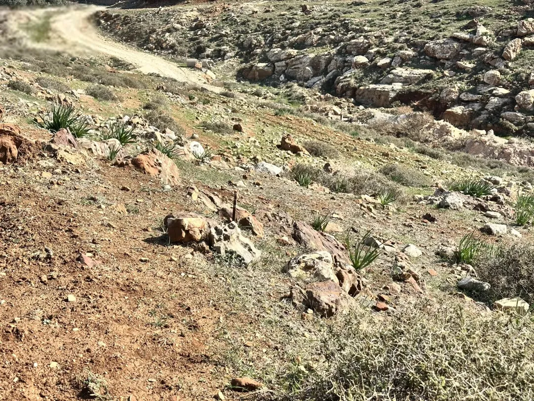 ارض مميزة في غرب عمان مرج الحمام المشبك 685 مترًا مربعًا