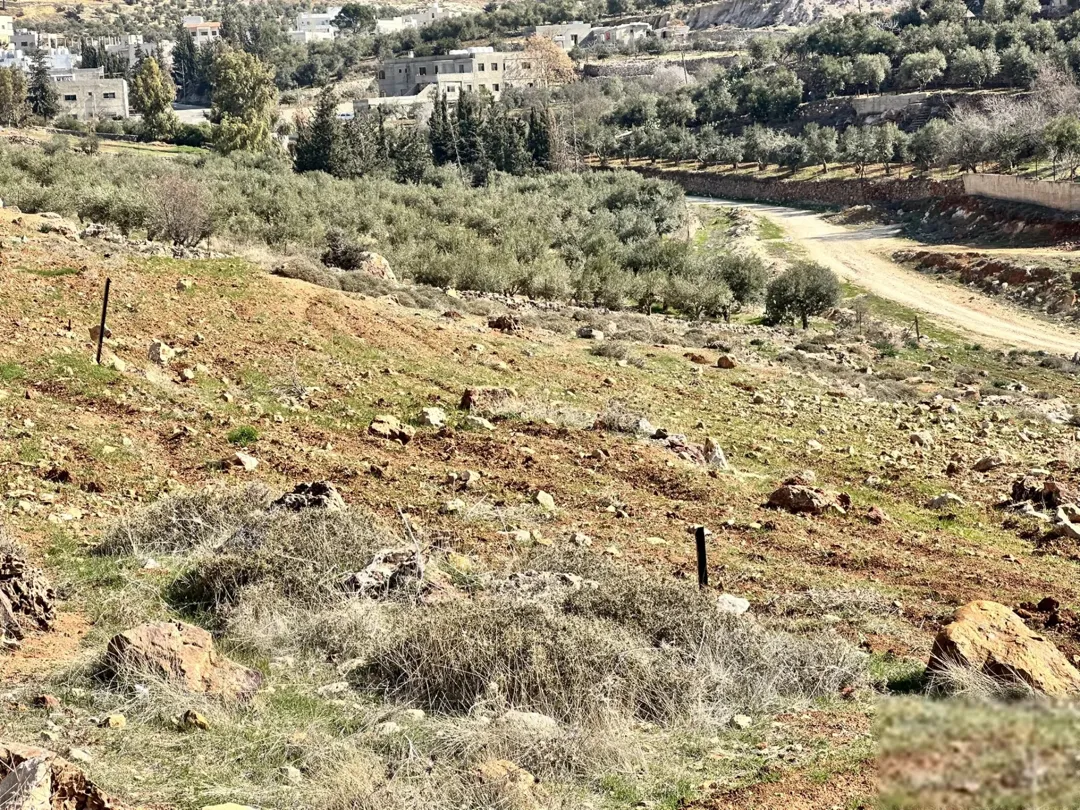 ارض مميزة في غرب عمان مرج الحمام المشبك 685 مترًا مربعًا