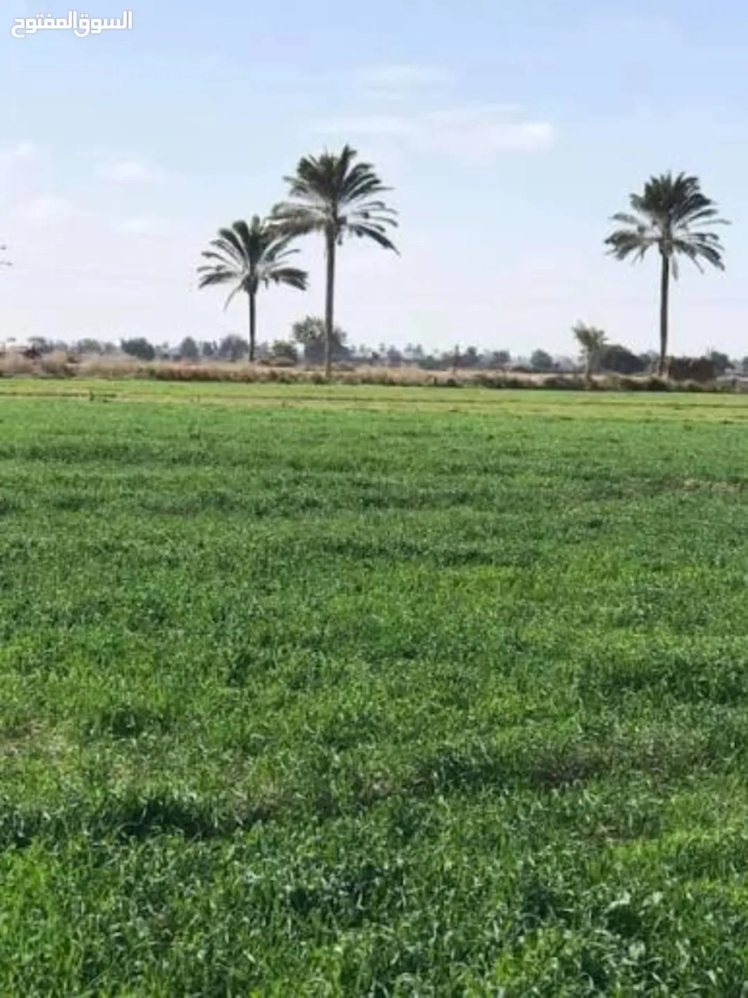 للبيع قطعة أرض مميزة في جرش