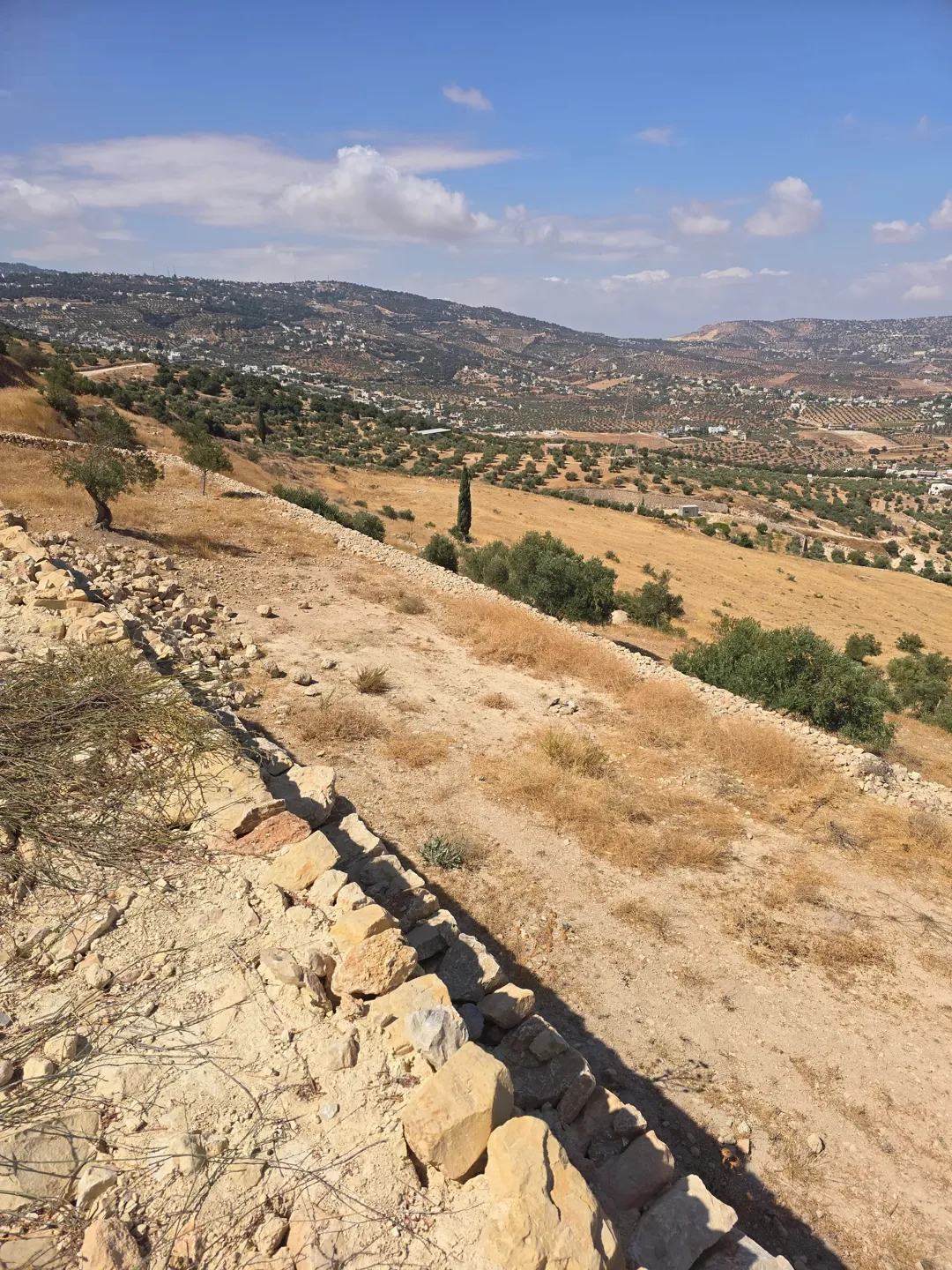 قطعه ارض مميزه اطلاله غرب شمال جنوب — صورة 2