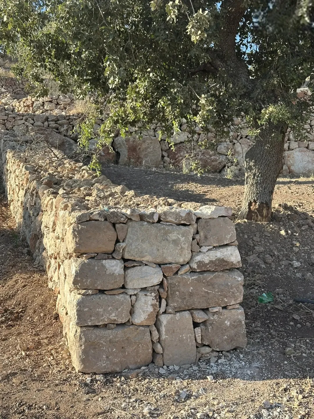 أرض استثنائية بجمال طبيعي ساحر