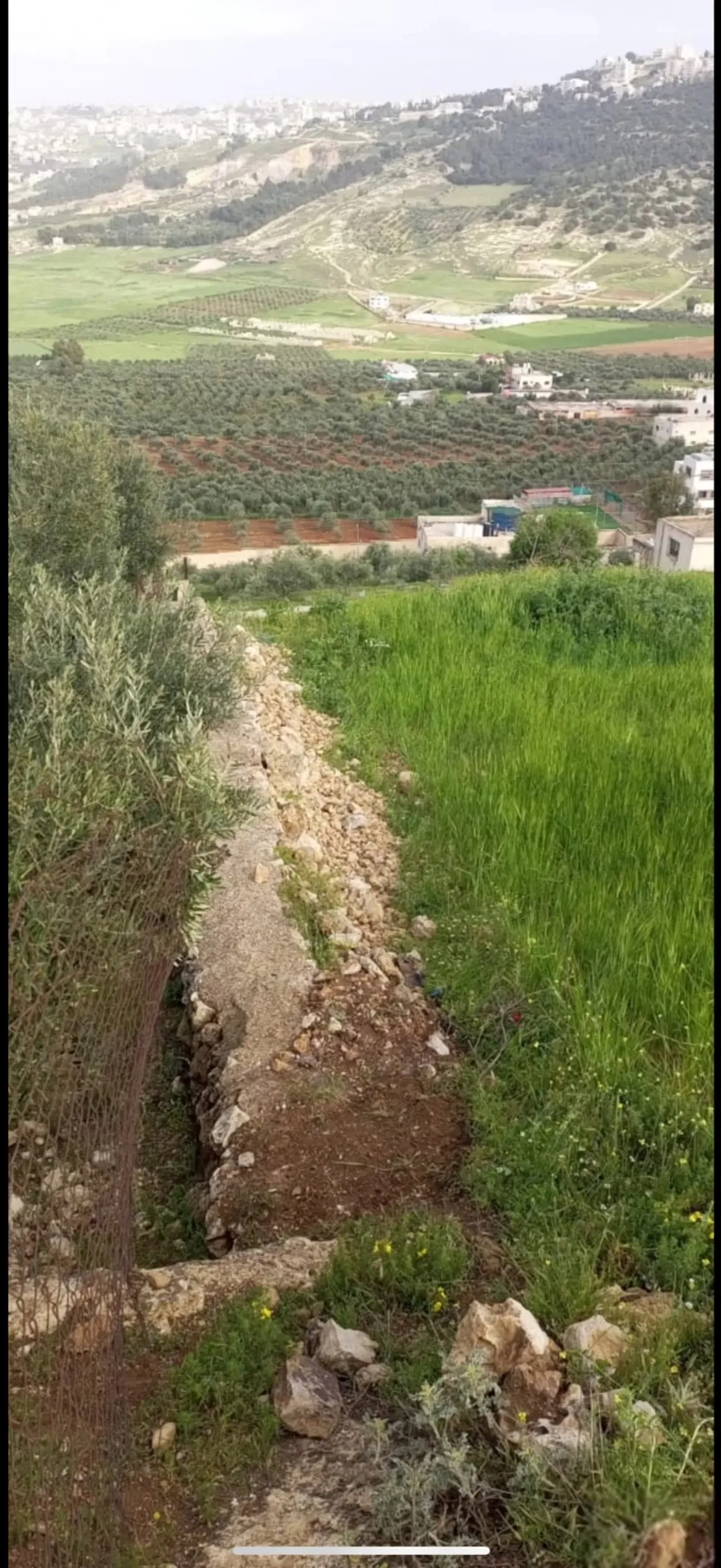 3 قطع أراضٍ للبيع في عين الباشا
