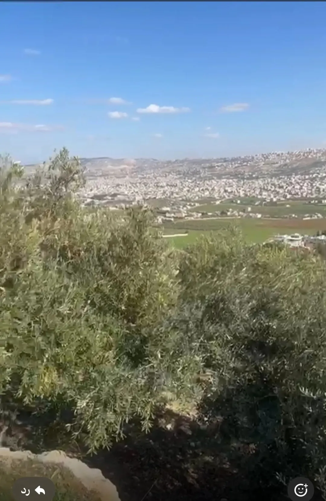 3 قطع أراضٍ للبيع في عين الباشا