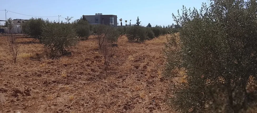 قطعة أرض سكنية مميزة للبيع في أم العمد – عمان