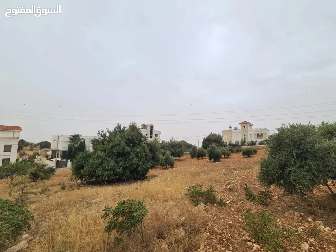 أرض سكنية مميزة للبيع في بدر الجديدة – عمان