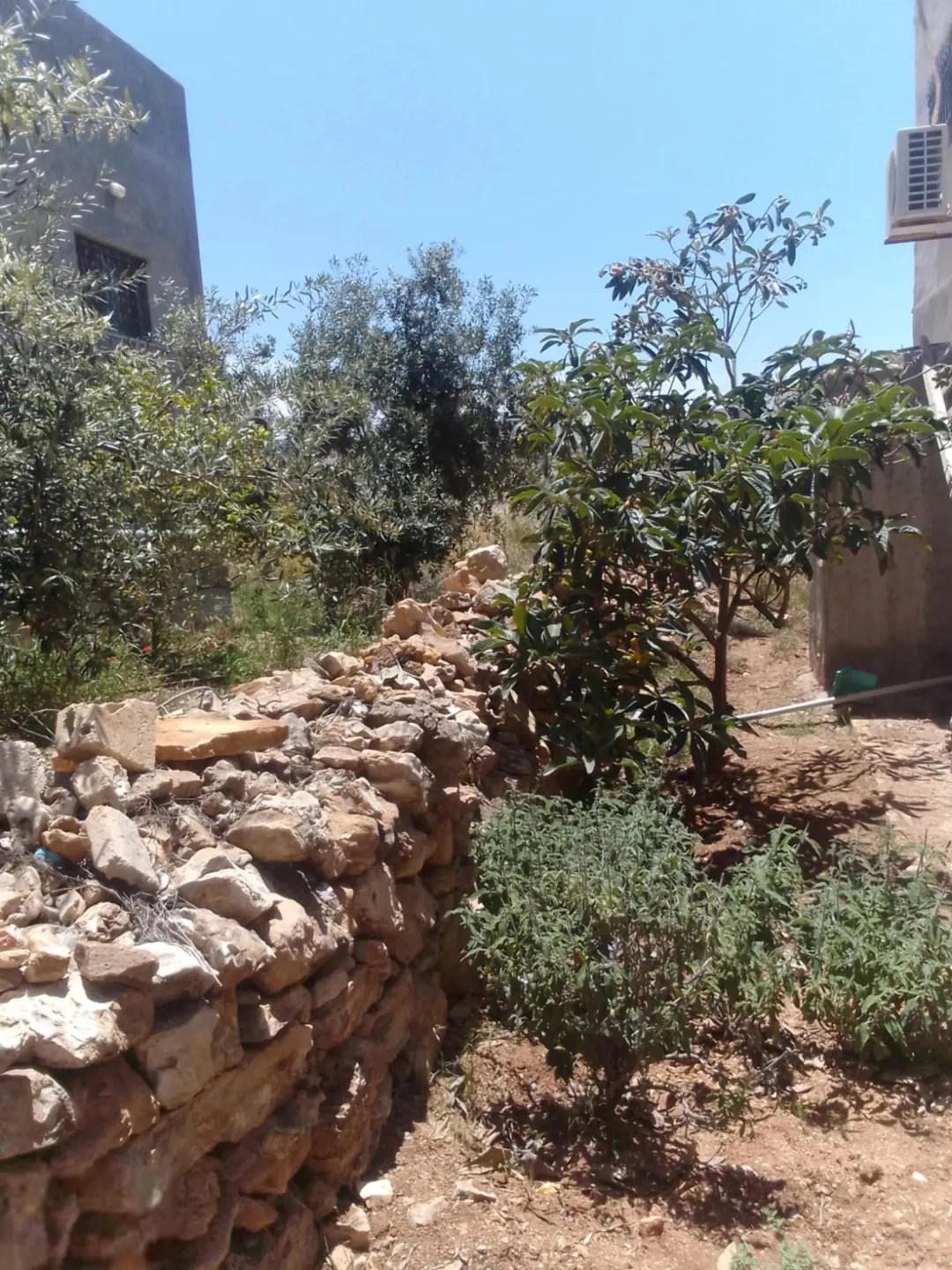 ثلاث طوابق مرخص كامل الطابق الاول ثلاث غرف ومطبخ وحمامين ومضافه بير ماء 45 م مطبخ جاهز راكب ارضي