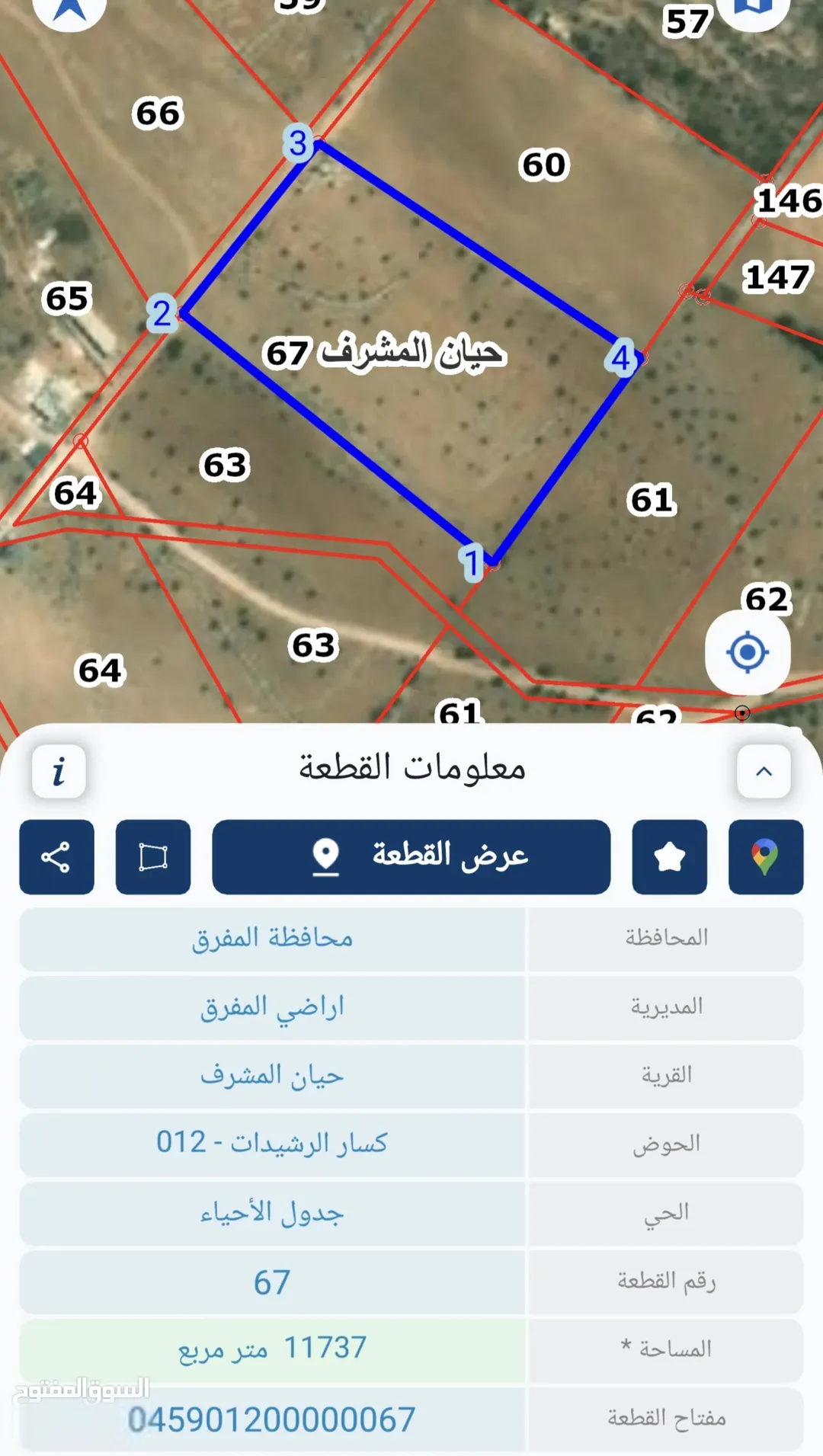 أرض زراعية مميزة في المفرق – حيان المشرف