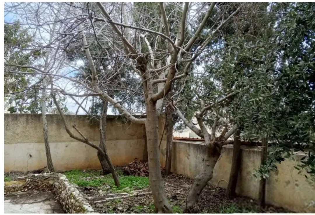 عمارة سكنية للبيع مرج الحمام ام السماق الجنوبي
