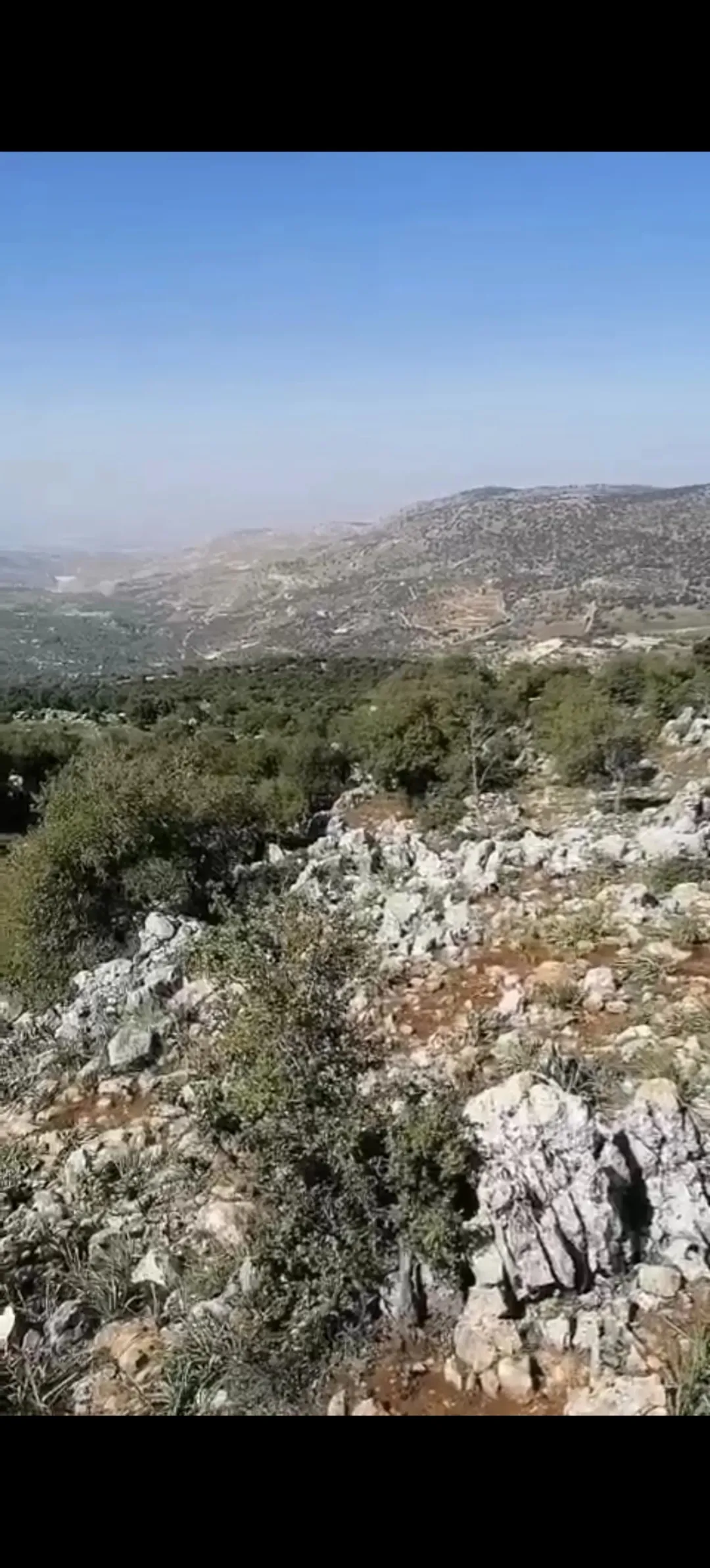 ارض حرجية مشتركة في كفرنجة خلف القلعة
