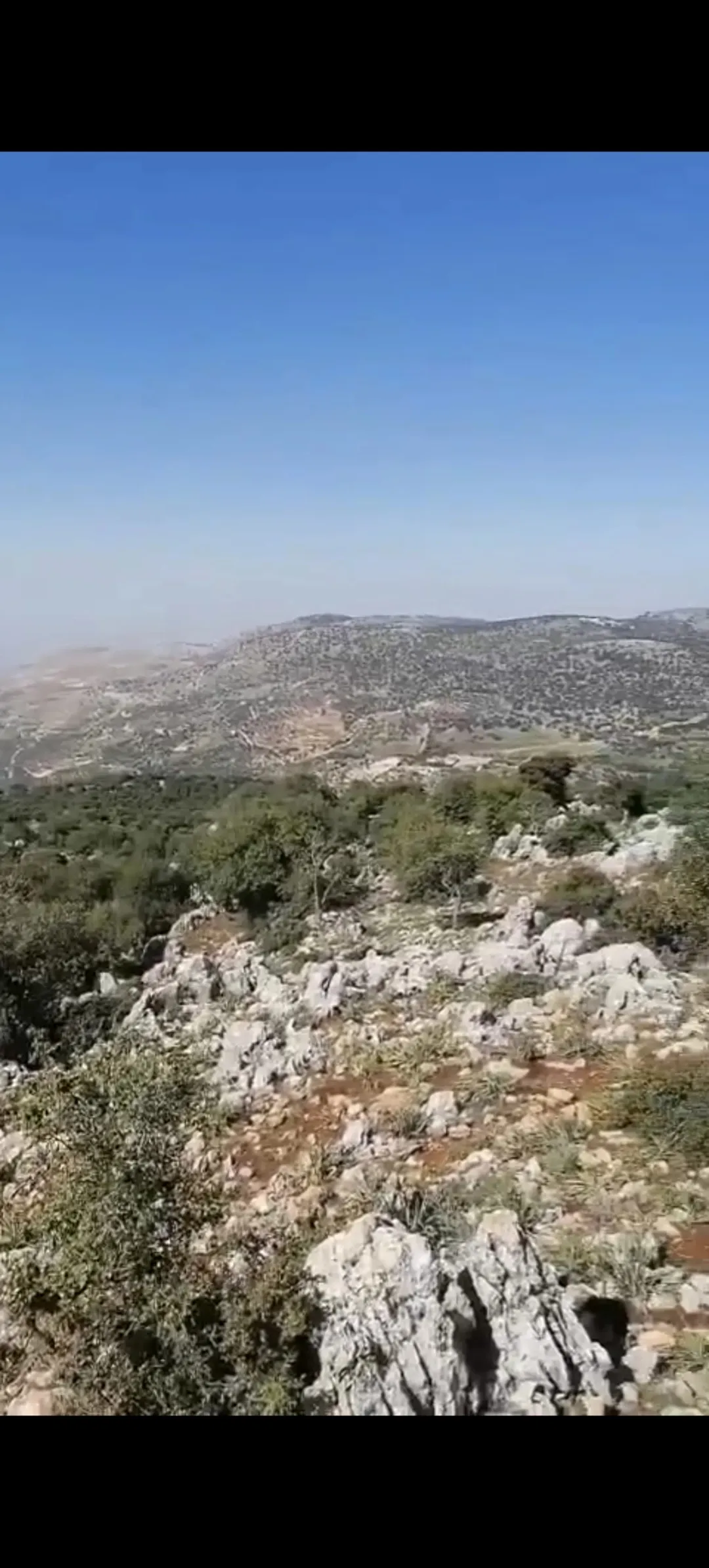 ارض حرجية مشتركة في كفرنجة خلف القلعة