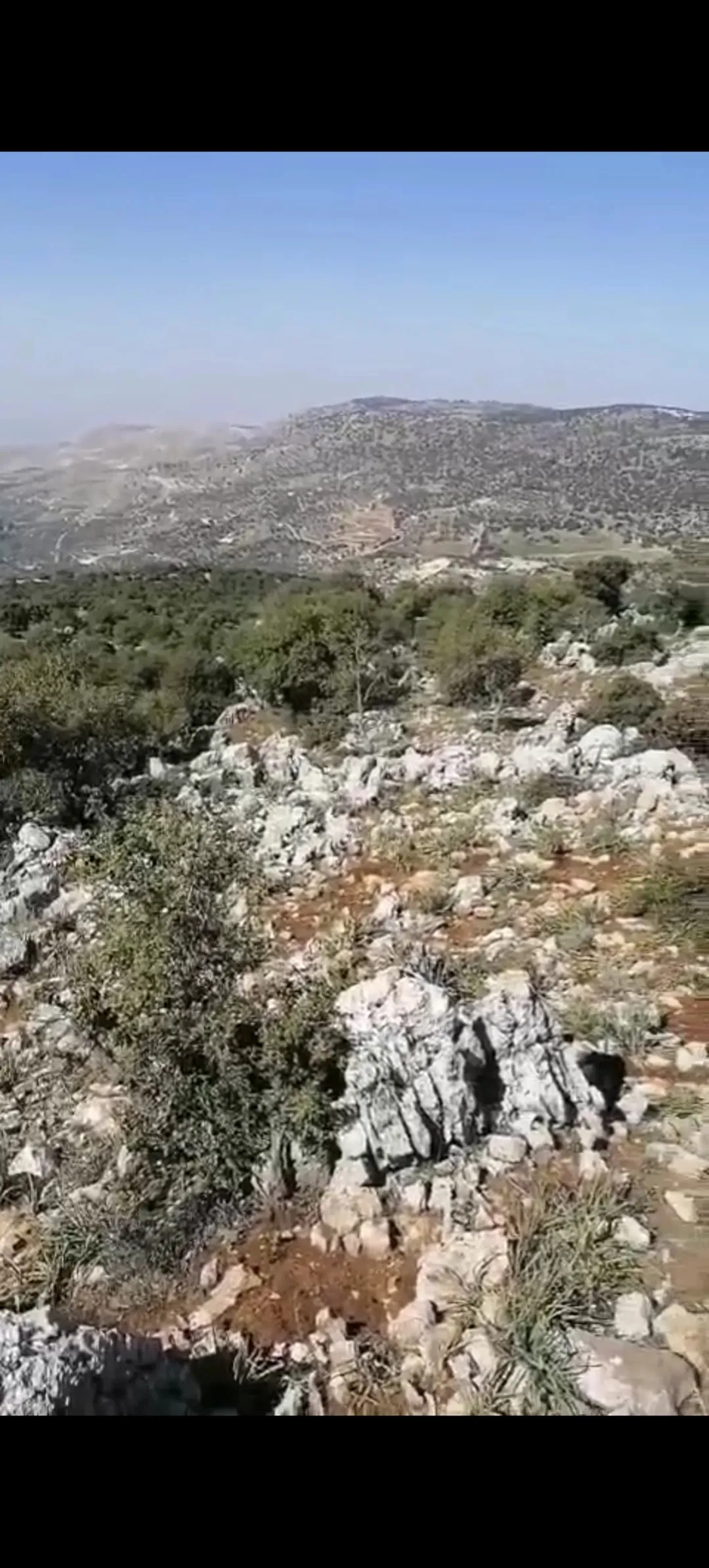 ارض حرجية مشتركة في كفرنجة خلف القلعة