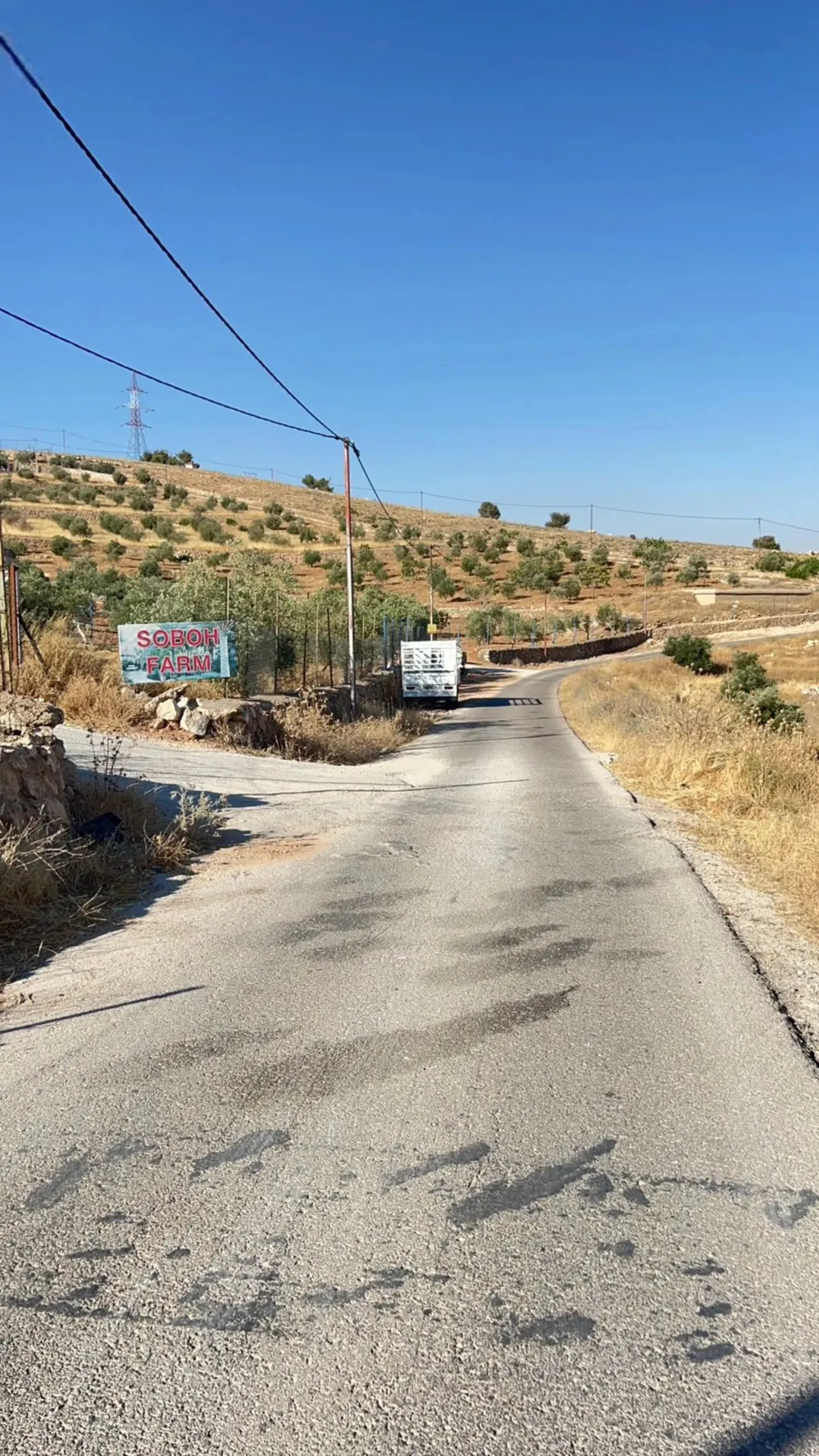أرض زيتون خلابة بإطلالة ساحرة في منطقة نادرة