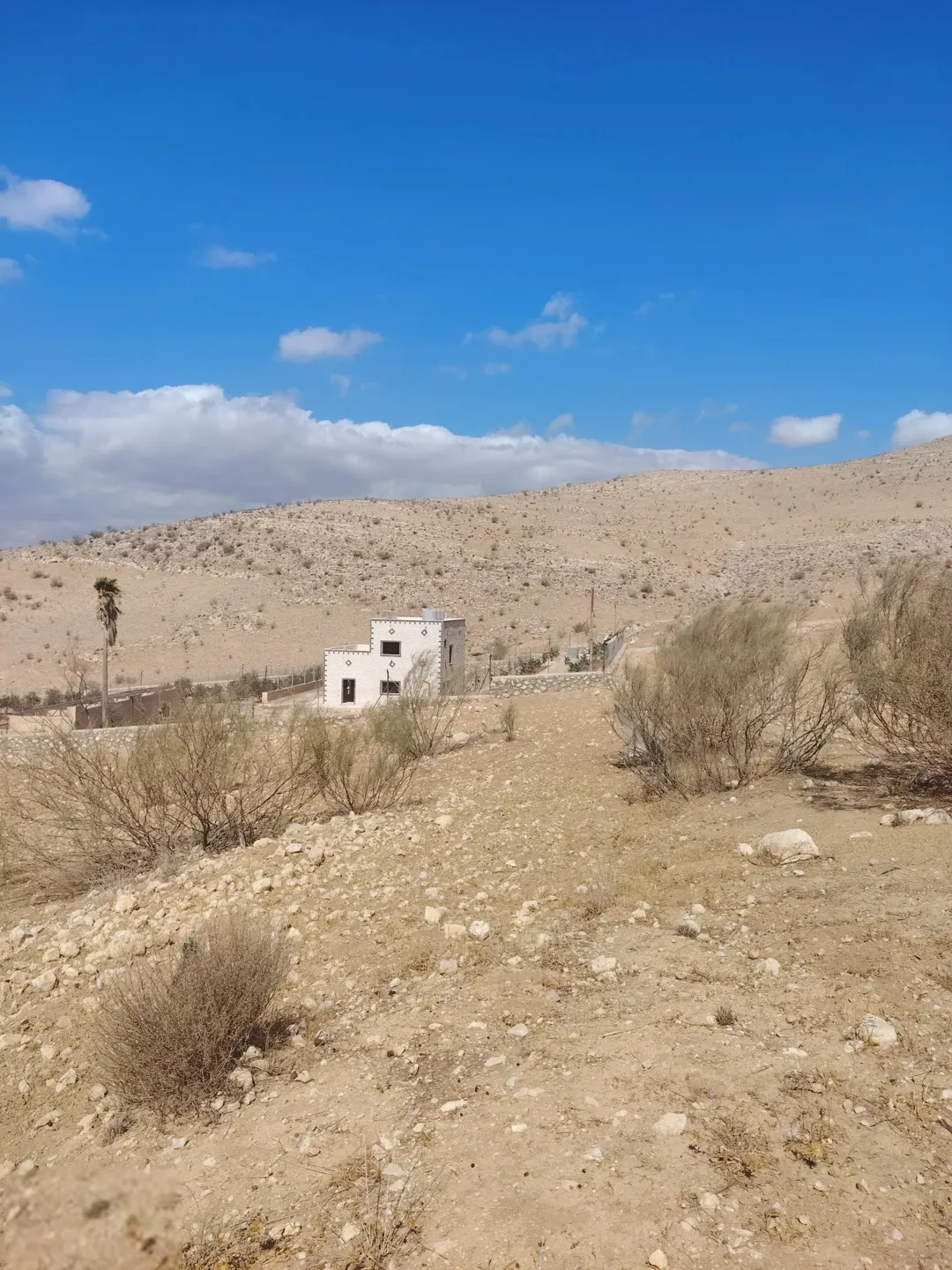 مباشرة 4 دونمات من اراضي صروت قطعه جميله جدا بين المزارع