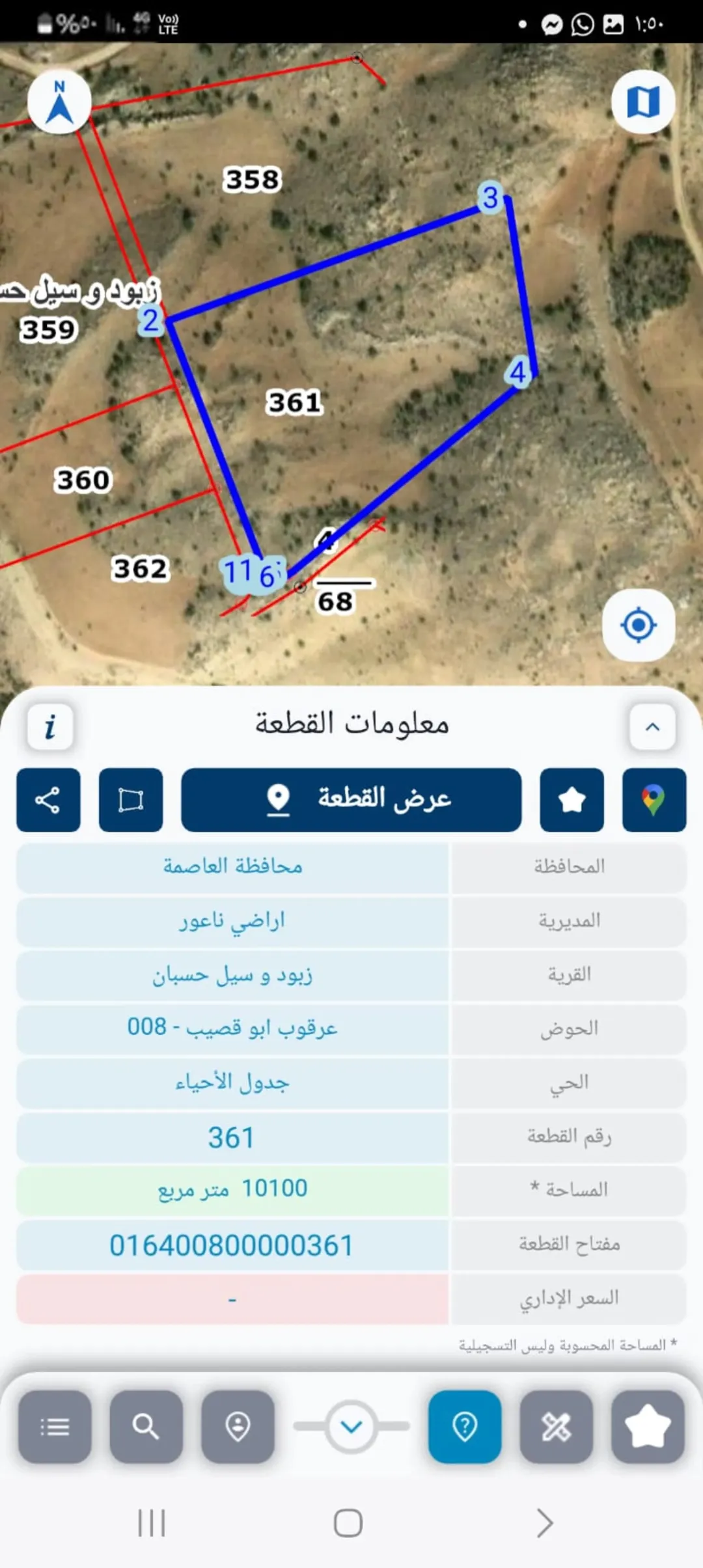 قطط ارض للبيع بسعرها مغري جدا بسبب الاستعجال للبيع