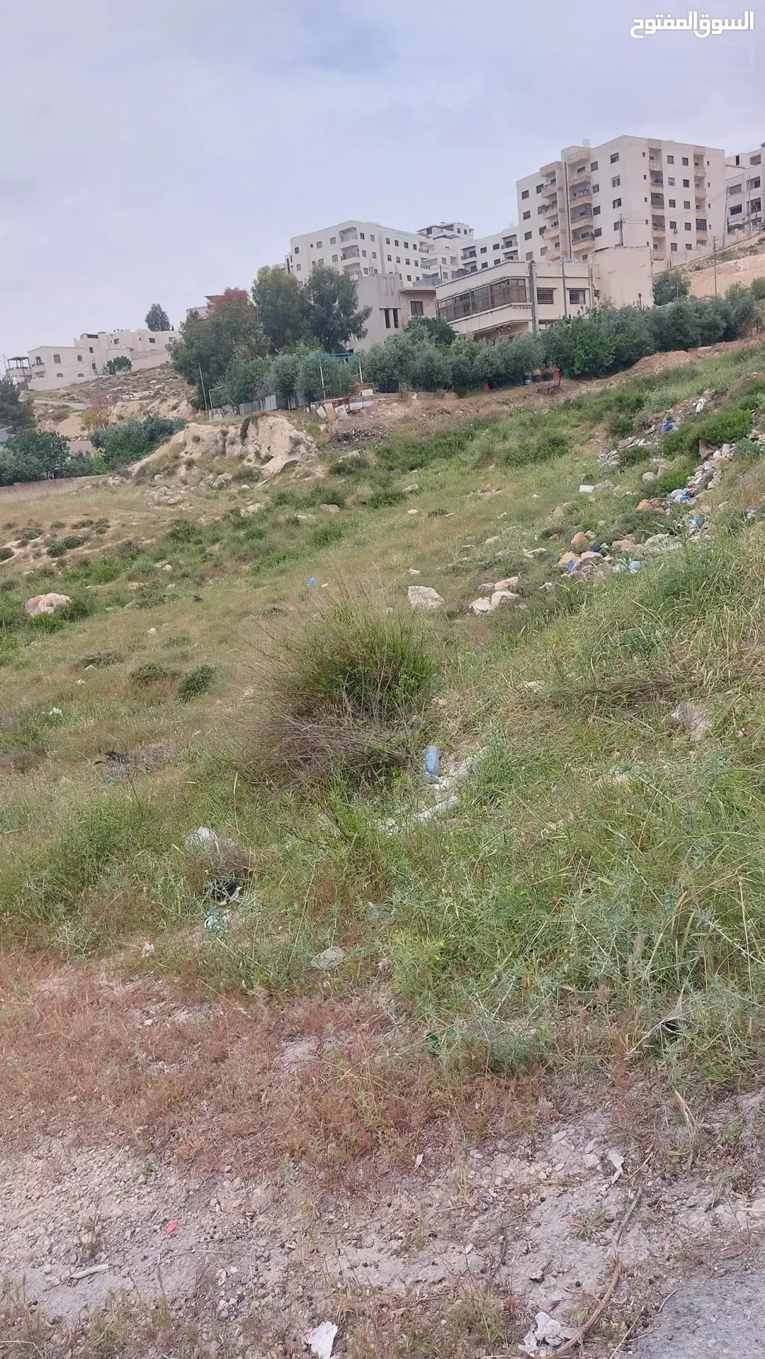 ارض صافوط سكني