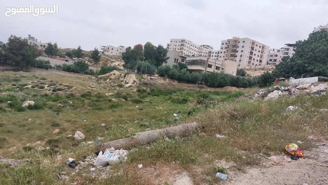 ارض صافوط سكني