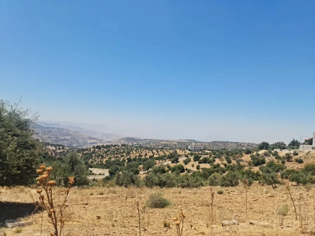 قطعة أرض مميزة للبيع في بدر الجديد الغروس الغربي 500 متر مربع
