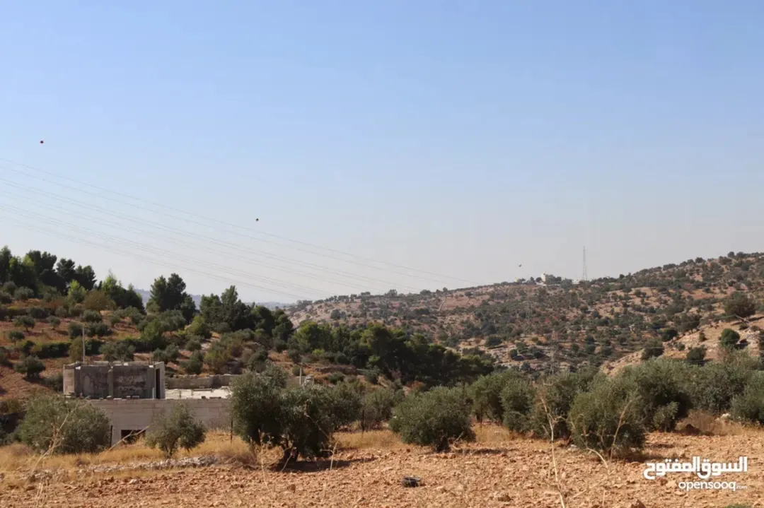 ارض للبيع في بدر الجديدة – 813م في حوض أبو مفراز – إطلالة مميزة وسعر مغري