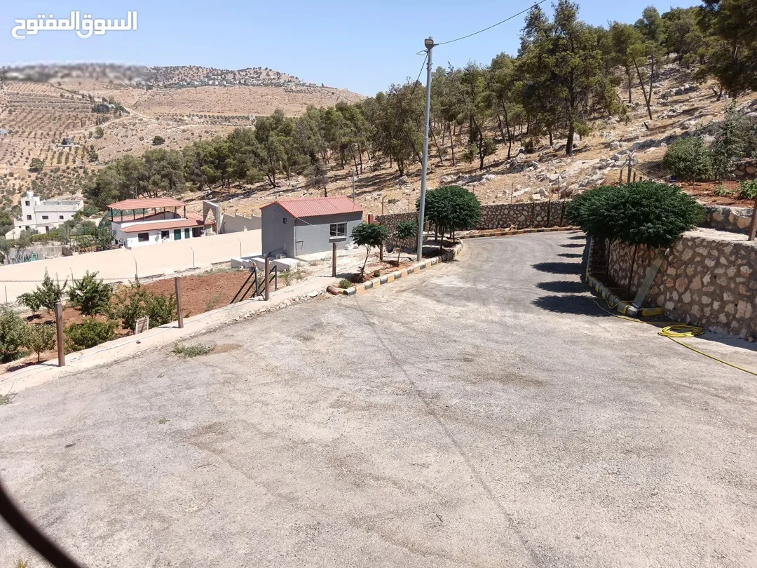 مزرعه مميزه بأجمل مواقع المصطبه