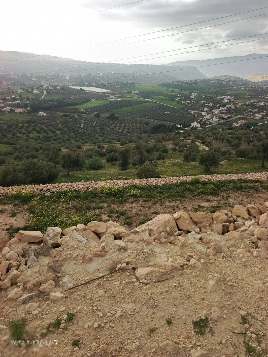 أرض زراعية في جلعد بإطلالة غربية ساحرة