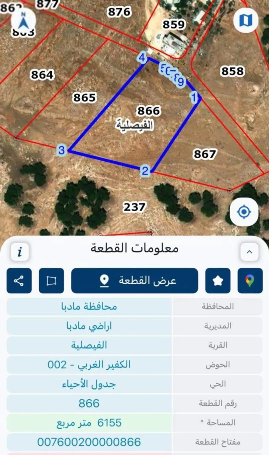 6 دنمات مادبا الفيصلية