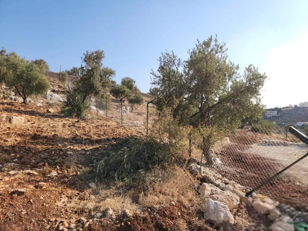 أرض مميزة في زبدا الكاشف بدر الجديدة عمان الغربية