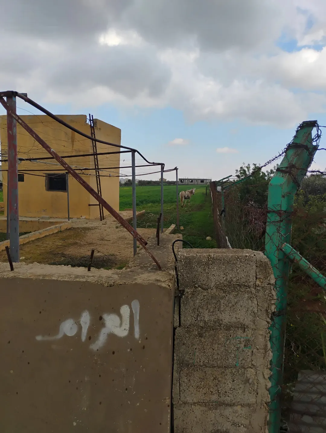 ارض زراعية بسعر ممتاز