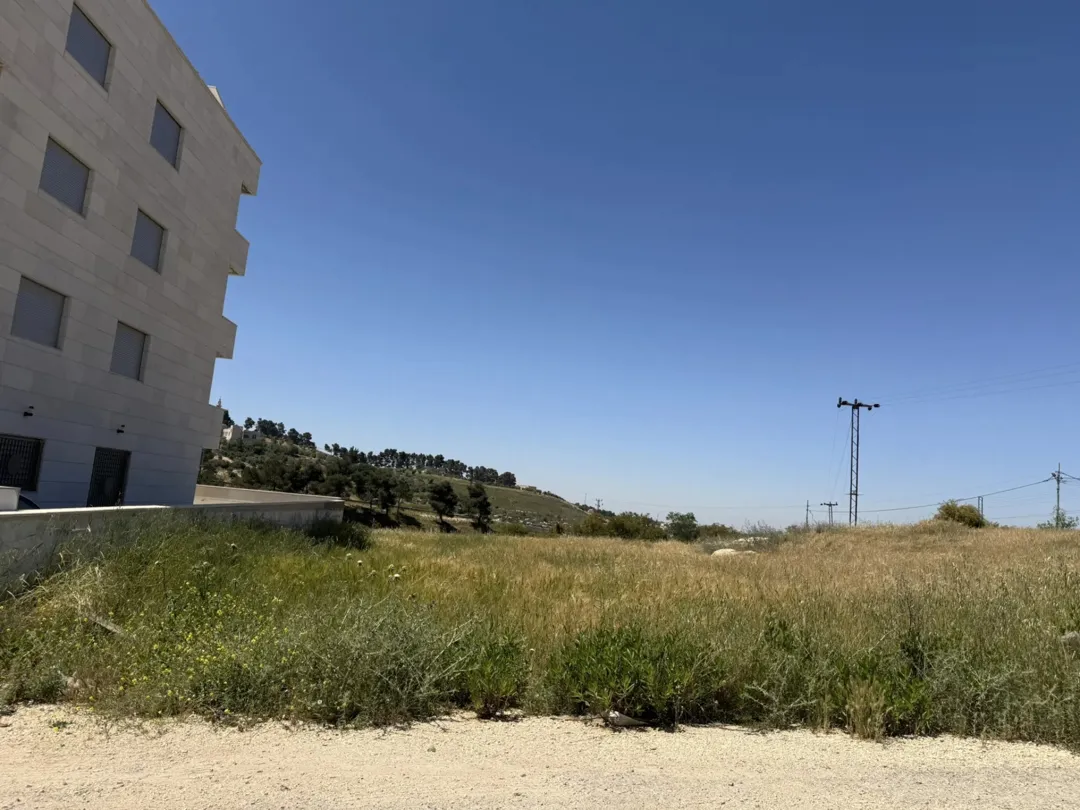 قطعة ارض سكنية (أ) مميزة (المساحة دونم)، ناعور طريق البحر الميت مقابل بيت العسل مباشرة
