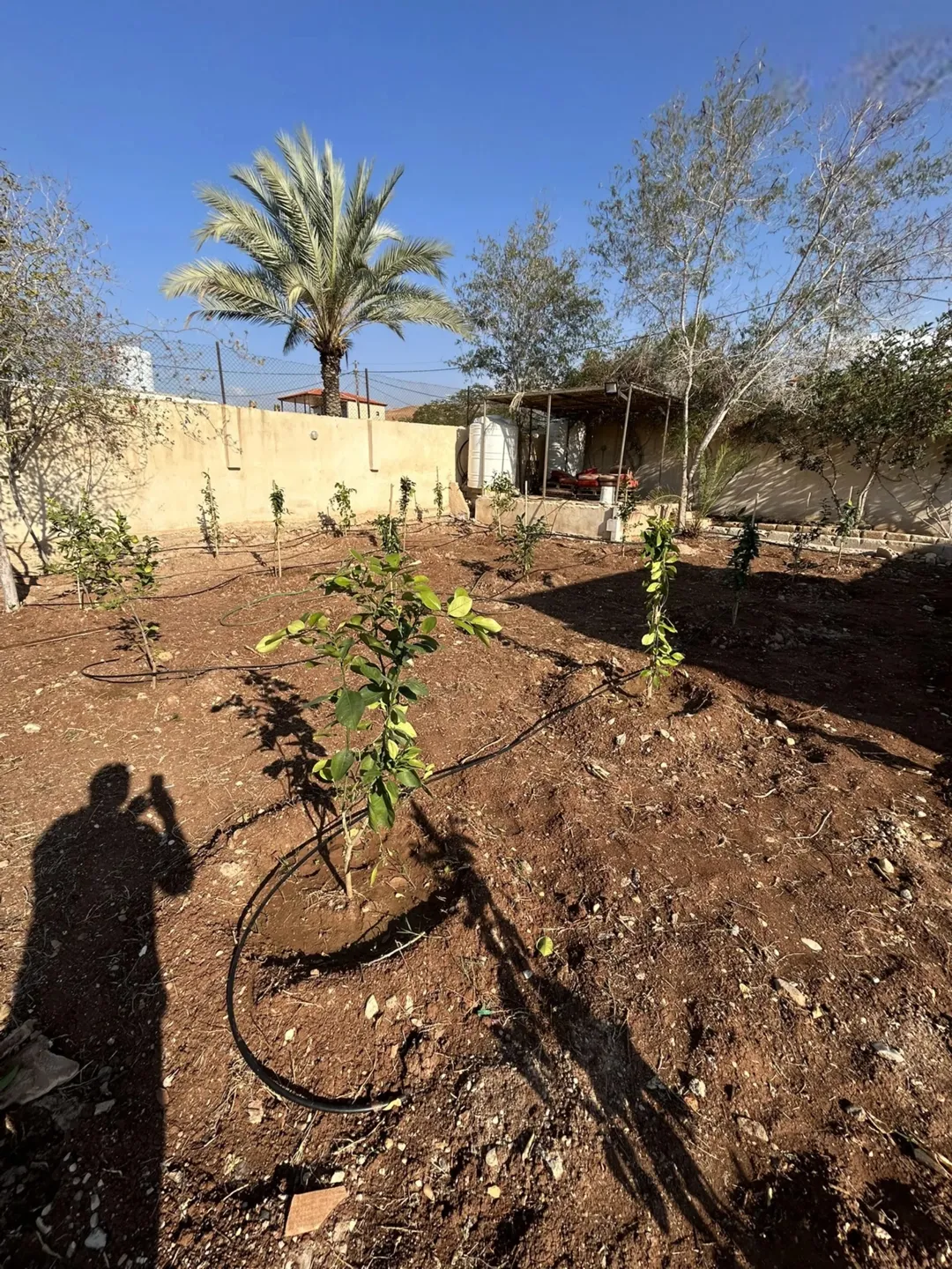 شاليه فاخر للبيع في قلب الأغوار الوسطى – ظهرة الرمل