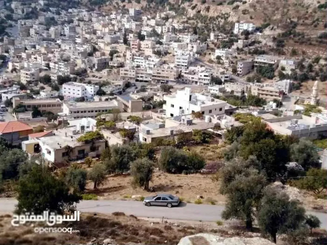 أرض سكنية وزراعية للبيع في عجلون – عين جنا بإطلالة مميزة