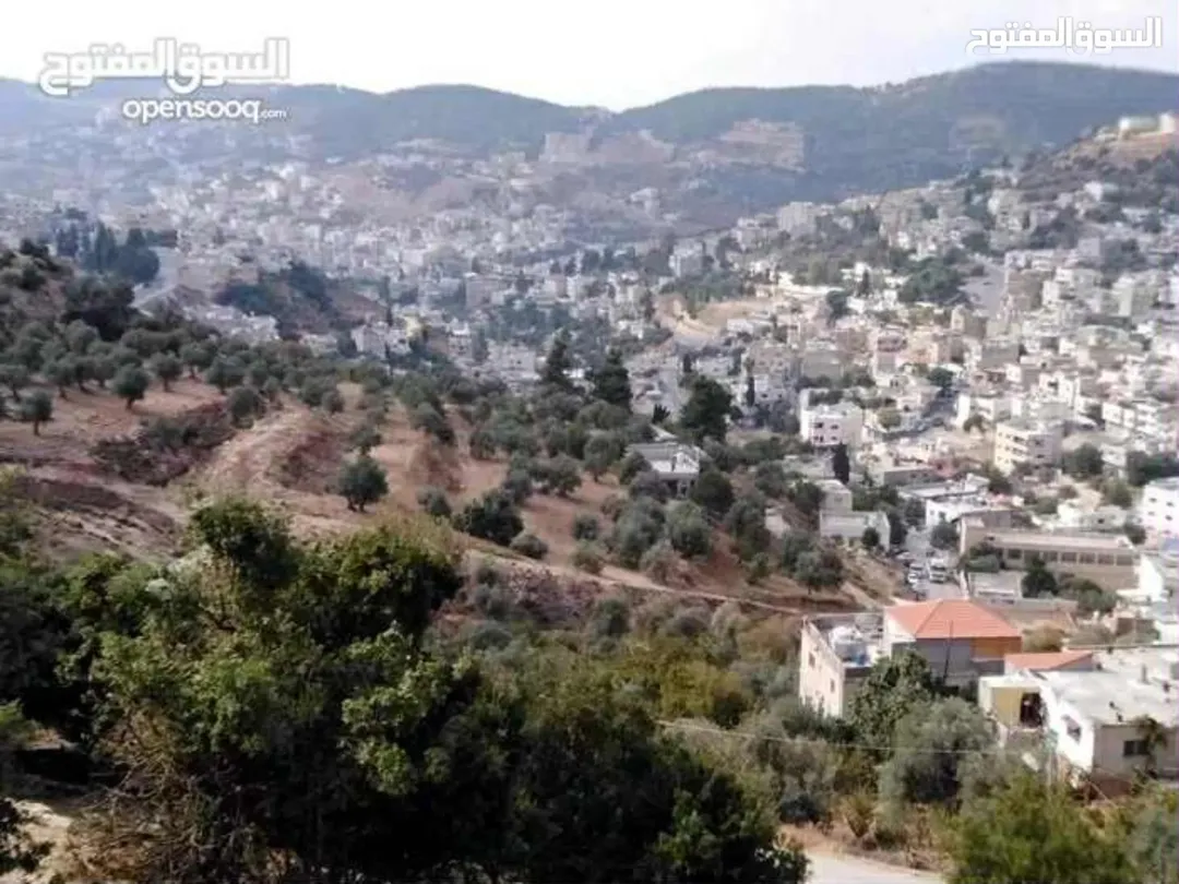 أرض سكنية وزراعية للبيع في عجلون – عين جنا بإطلالة مميزة
