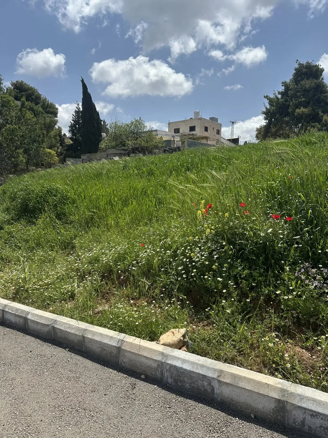 أرض سكنية ب فاخرة في أميز مواقع منطقة زي