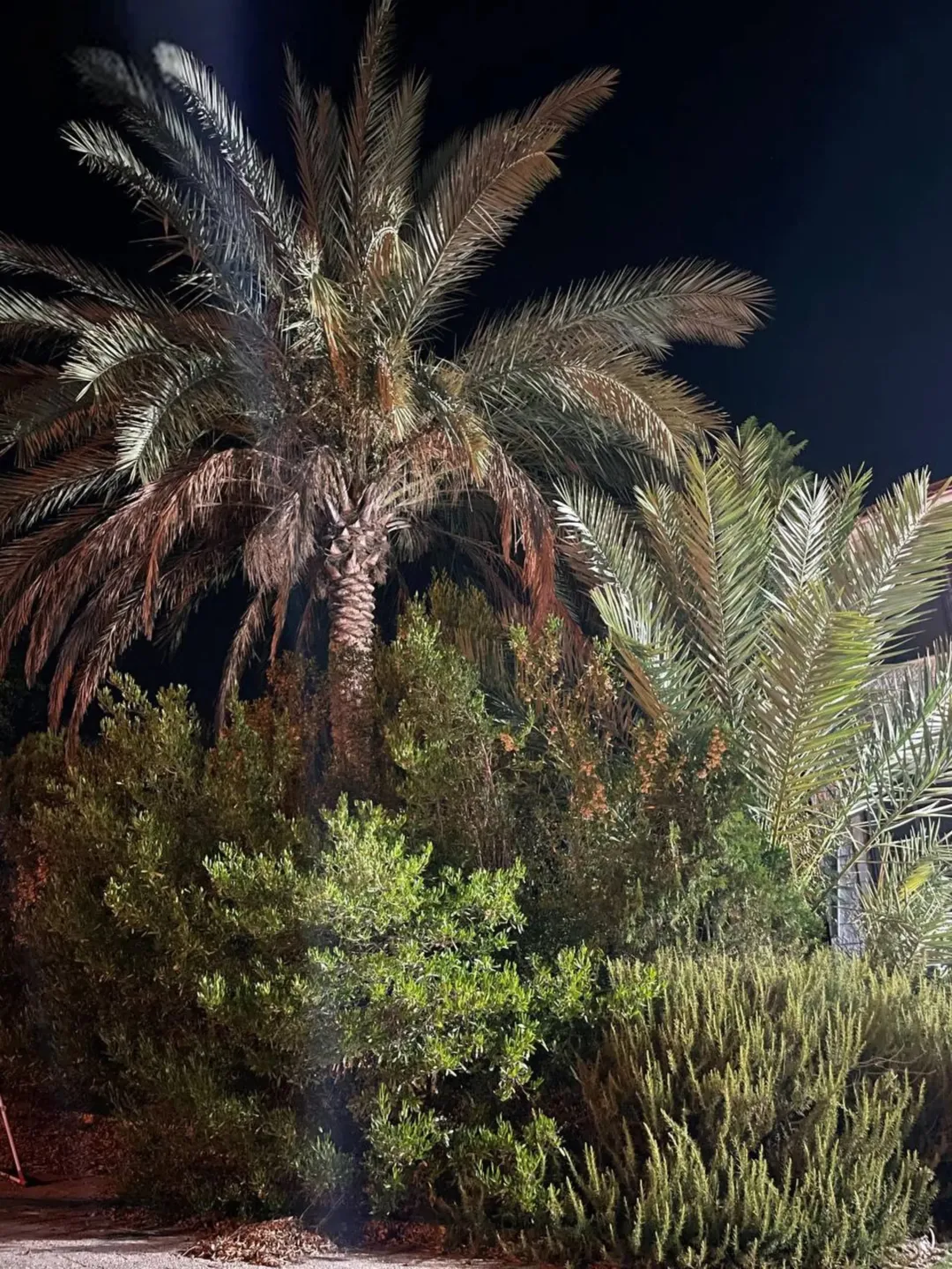 تم تخفيض السعر ڤيلا 3 طوابق على ارض 10 دنم مزورعة حمضيات، مناسبة لمشروع منتجع سياحي