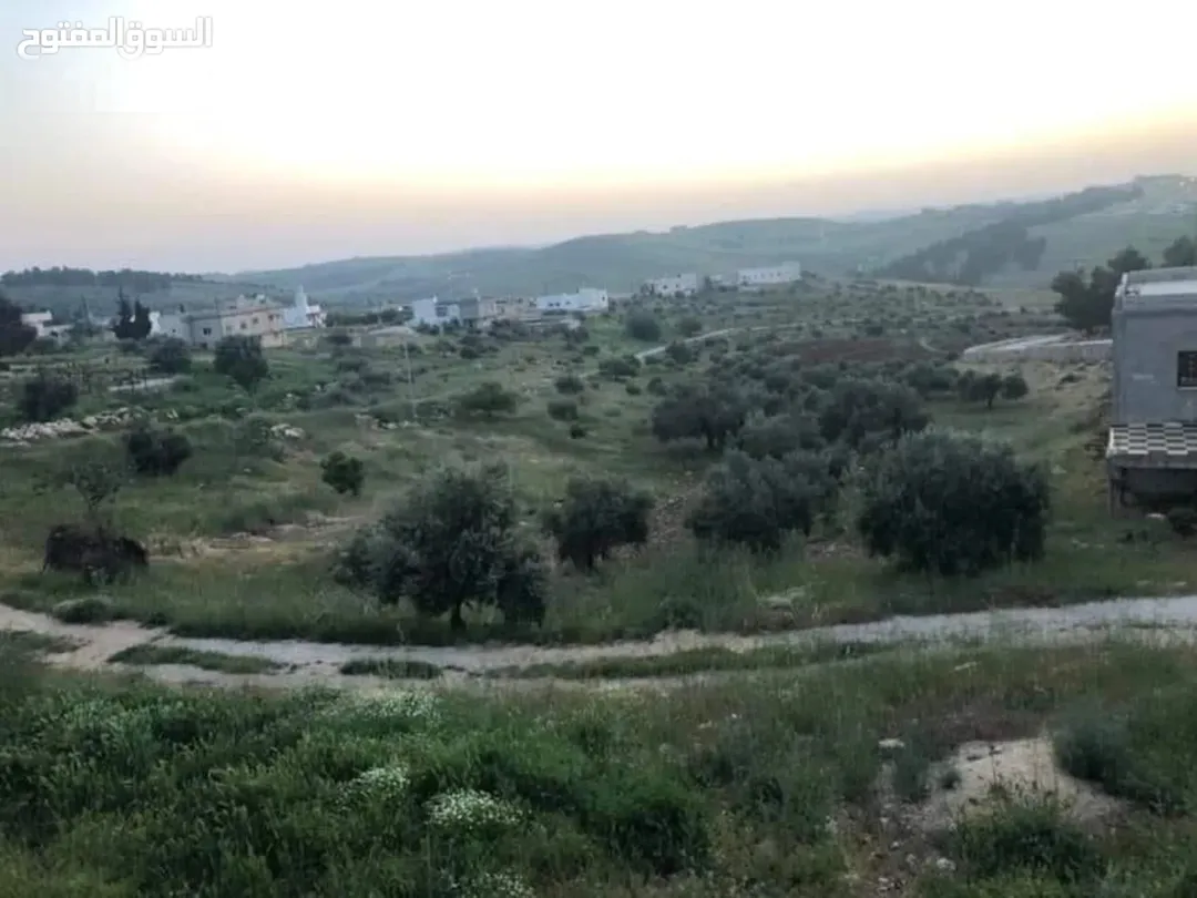 مزرعة فاخرة في جرش 3 دونمات 3 واجهات