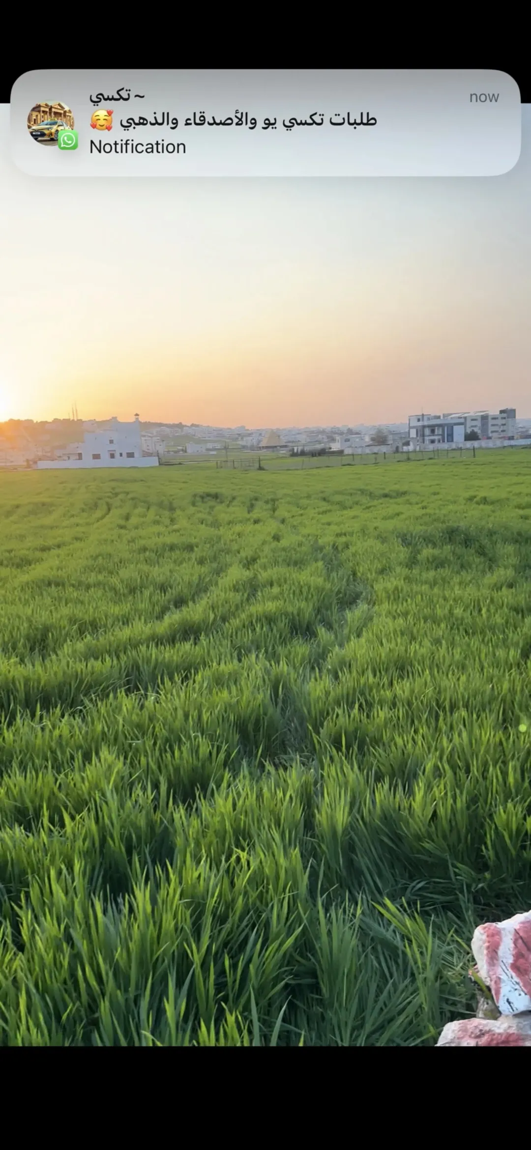 أرض سكنية مميزة للبيع في الماصية الشمالية – جنوب دوار السفير