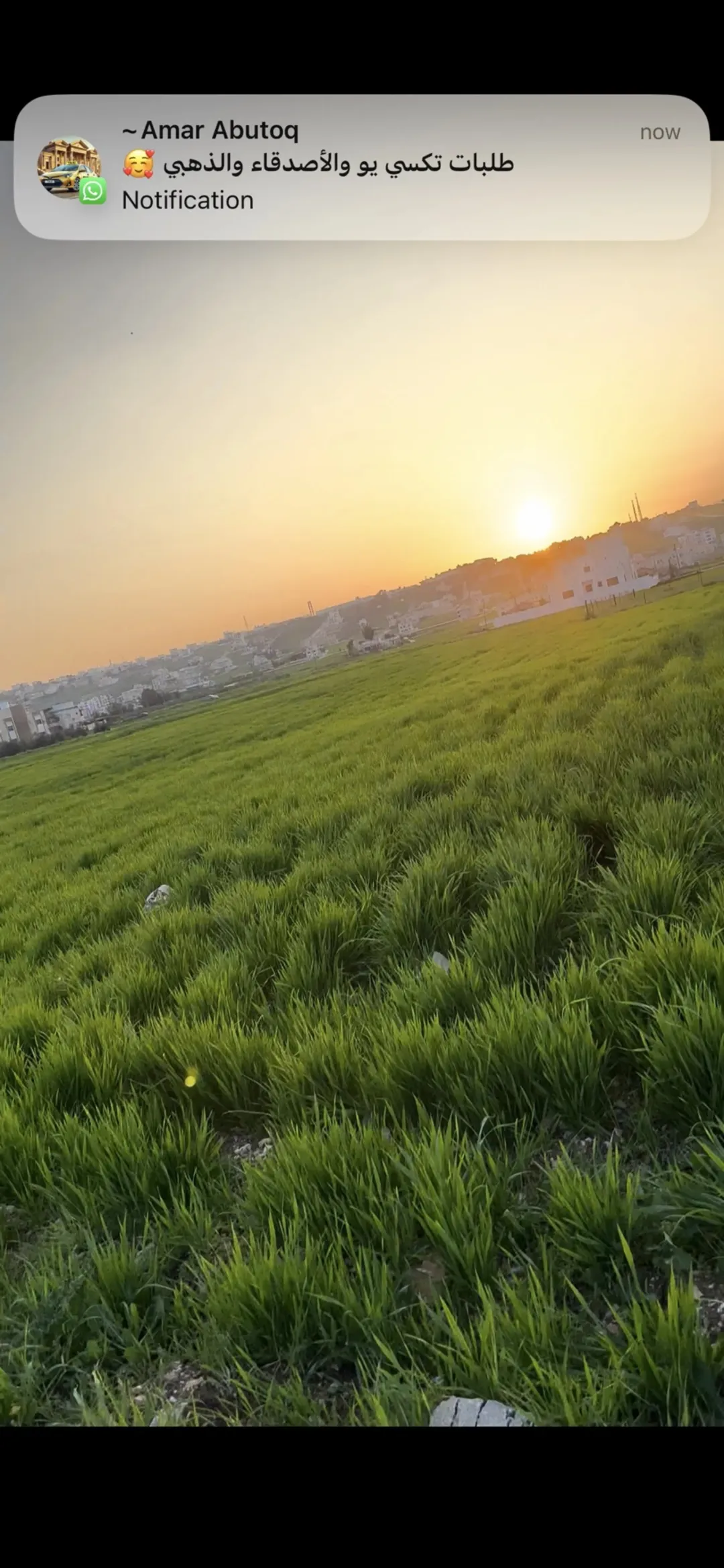 أرض سكنية مميزة للبيع في الماصية الشمالية – جنوب دوار السفير