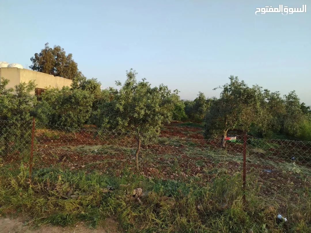 أرض سكنية مميزة للبيع في ججين – الحي الغربي