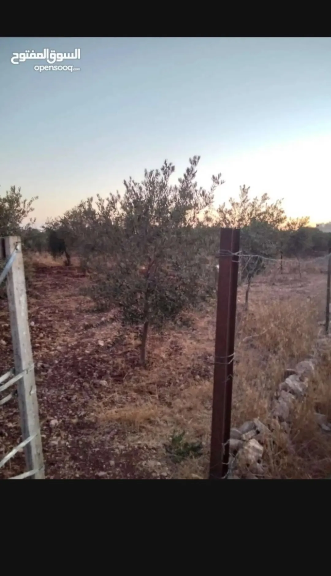 أرض سكنية مميزة للبيع في ججين – الحي الغربي