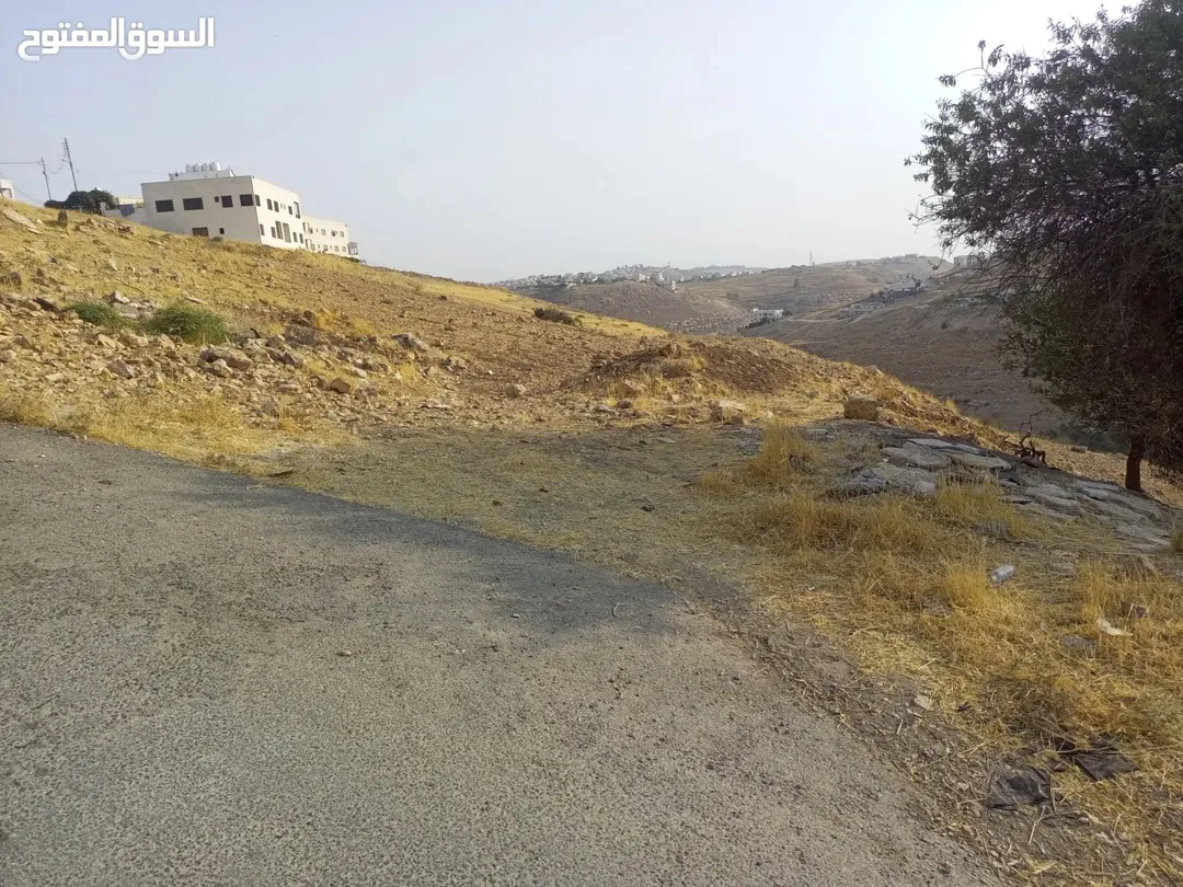 أرض سكنية للبيع في منطقة البيادر – عمان