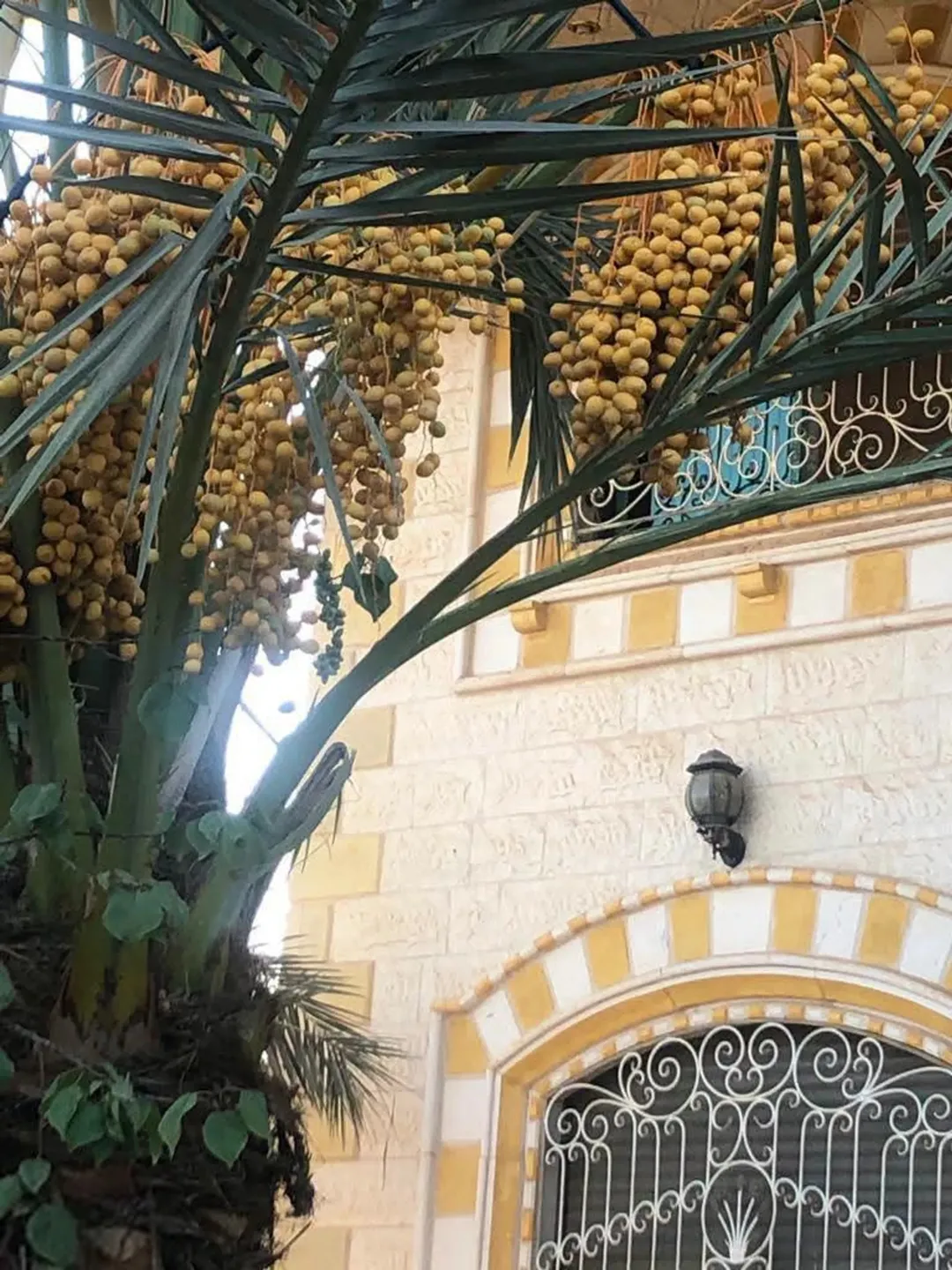 إمتلك مزرعه عملاقه مع ثلاث قصور طابقين في المفرق