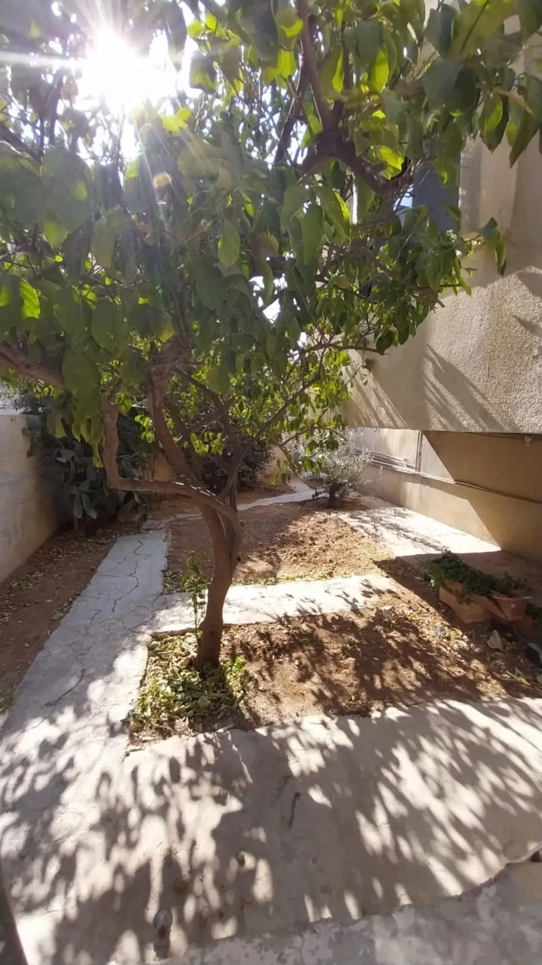 عمارة 3 طوابق للبيع في قوشان مساحة واسعة