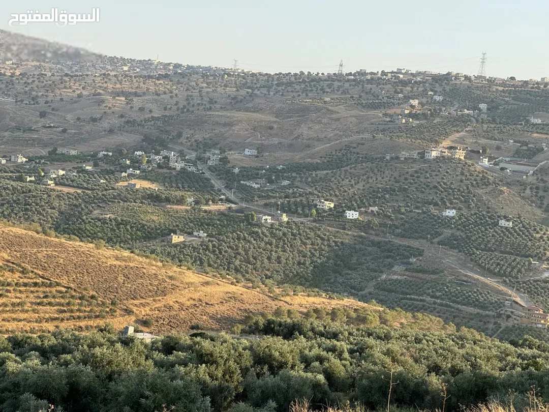 أرض زيتون بإطلالة ساحرة في منطقة شفا غورية على طريق جرش