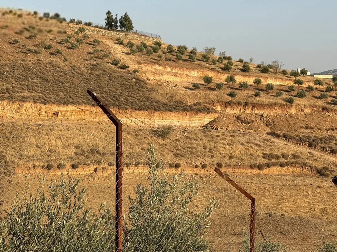 أرض زيتون بإطلالة ساحرة في منطقة شفا غورية على طريق جرش