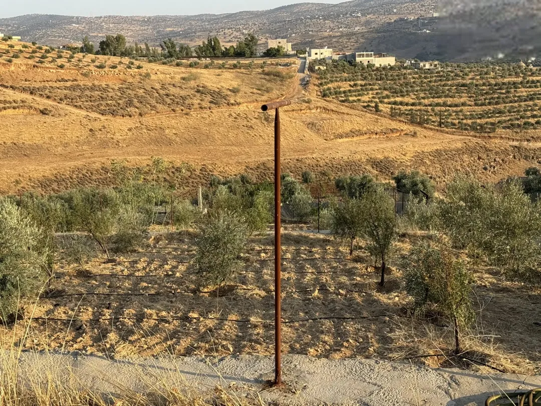 أرض زيتون بإطلالة ساحرة في منطقة شفا غورية على طريق جرش