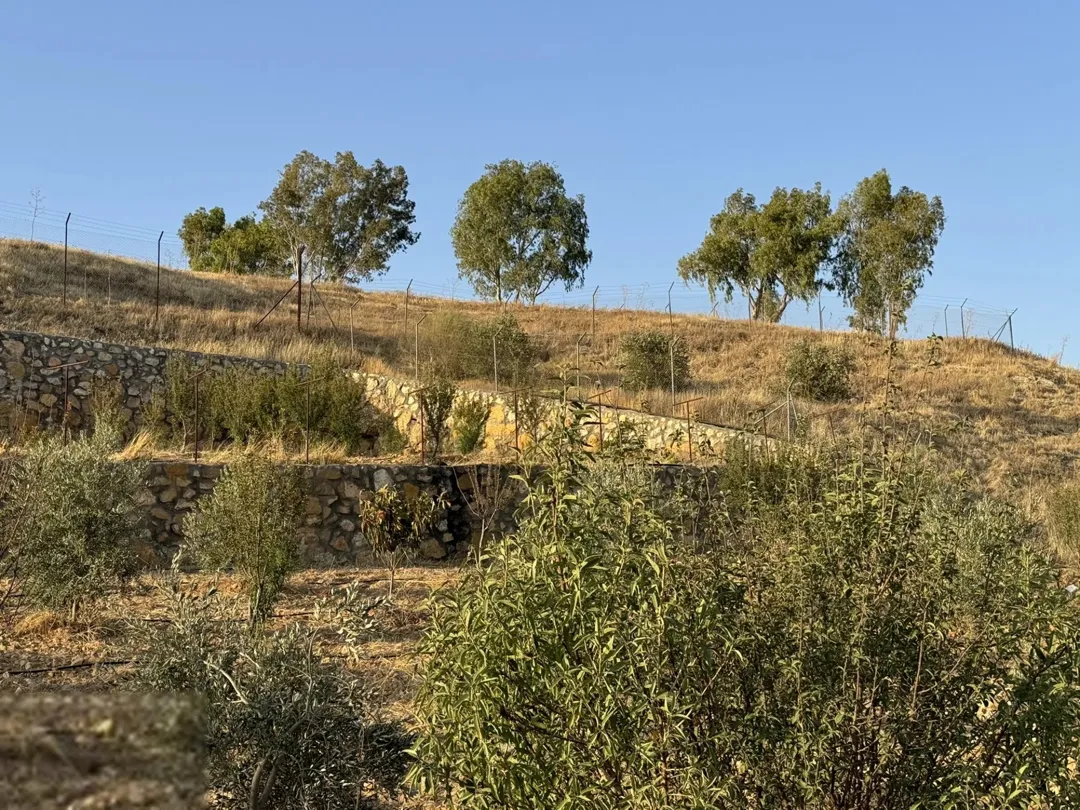 أرض زيتون بإطلالة ساحرة في منطقة شفا غورية على طريق جرش