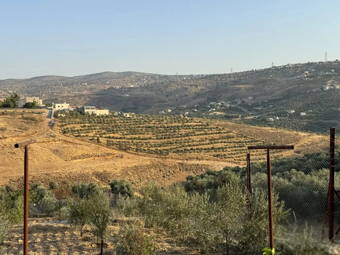 أرض زيتون بإطلالة ساحرة في منطقة شفا غورية على طريق جرش
