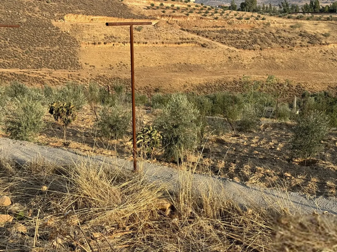 أرض زيتون بإطلالة ساحرة في منطقة شفا غورية على طريق جرش